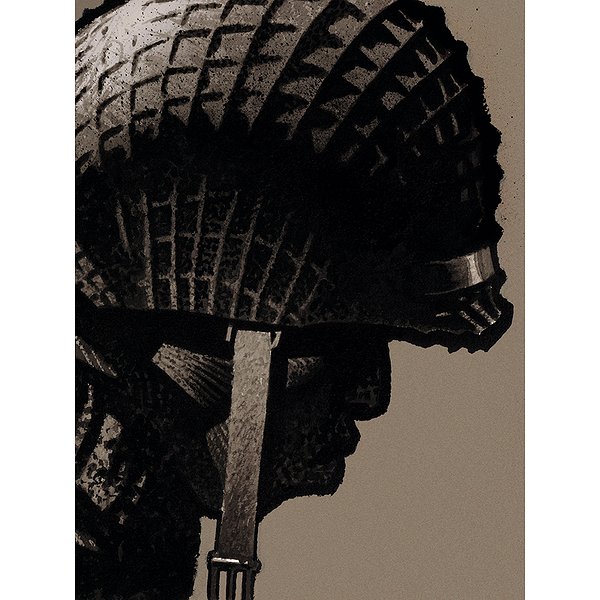 BD Tout public | DUPUIS | CINQ BRANCHES DE COTON NOIR1