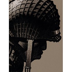 CINQ BRANCHES DE COTON NOIR