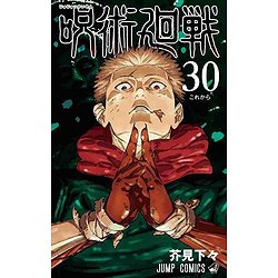 JUJUTSU KAISEN 30 (VO JAPONAIS)