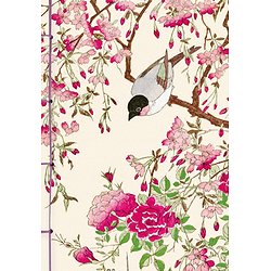 CARNET HAZAN GAUFRE OISEAUX 12 X 17 CM (PAPETERIE)